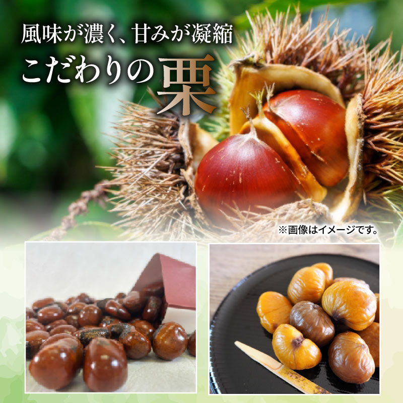 天津甘栗 選べる容量 200g～1.5kg 栗爪付き 大粒 栗 くり 秋 ギフト 贈答 殻付き お菓子 おつまみ 甘露煮 マロン モンブラン 栗ご飯 スイーツ おやつ お正月 催事 勝栗 10000円 京都 八幡 葵屋本舗 数量限定 限定